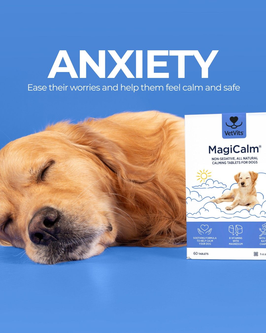 Thunder Anxiety